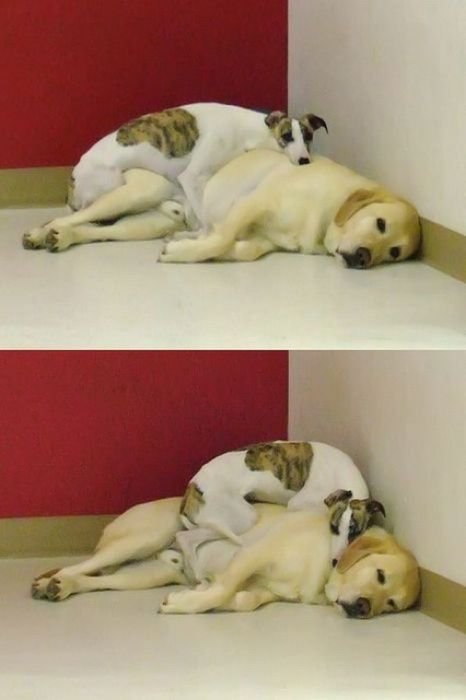 Миша Галкин | Санкт-Петербург