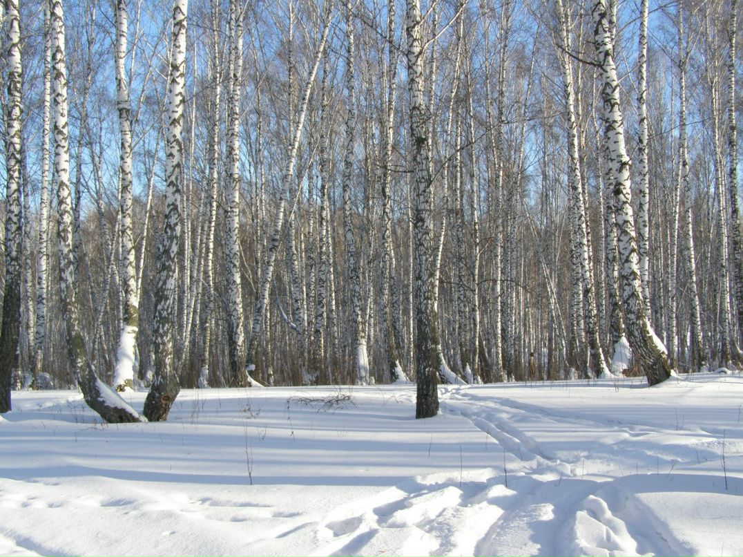 Олександр Грегораш | Калуш