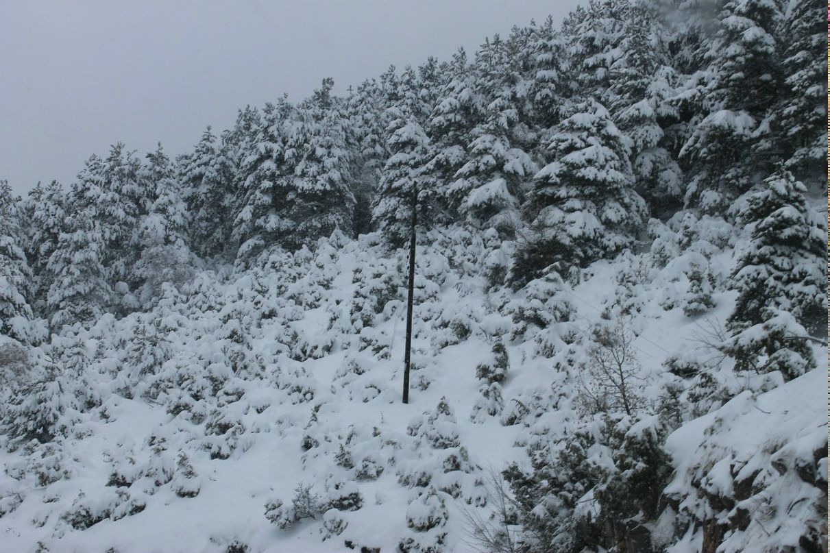 Света Ревенко | Alexandroupoli