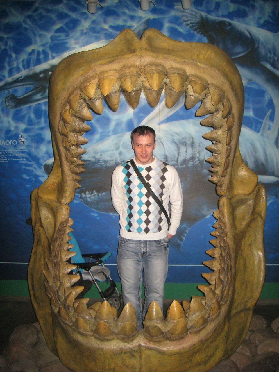 Алексей Козлов | Великий Новгород