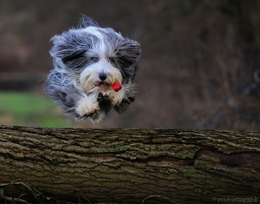 Владлена Летягина | 
