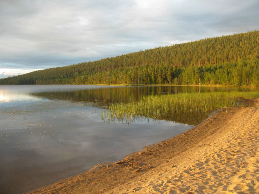 Петр Чебадухин | Москва