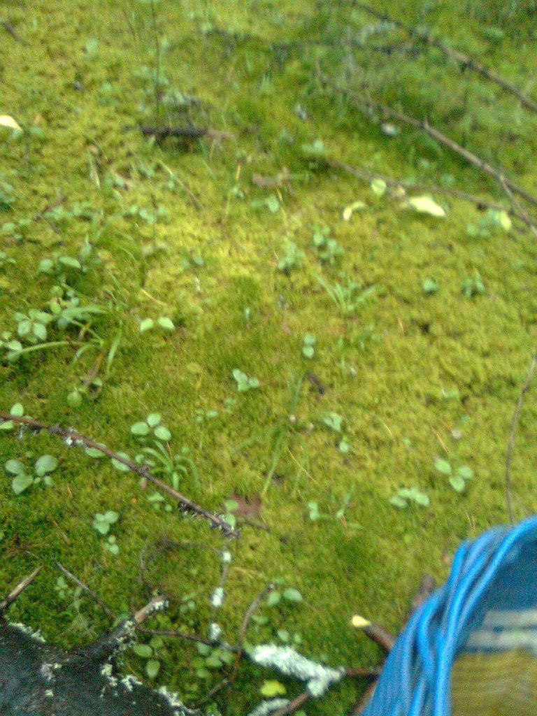 Иван Чигарев | Пермь