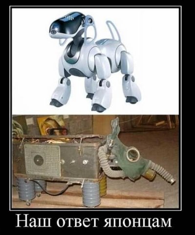 Димка Четин | Пермь