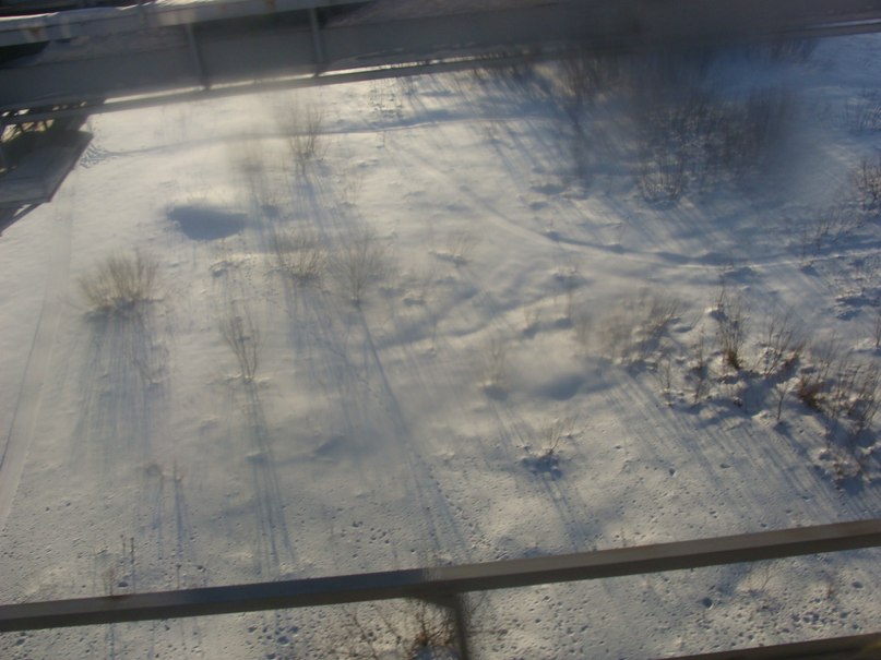 Илья Колотов night_wolf | Екатеринбург