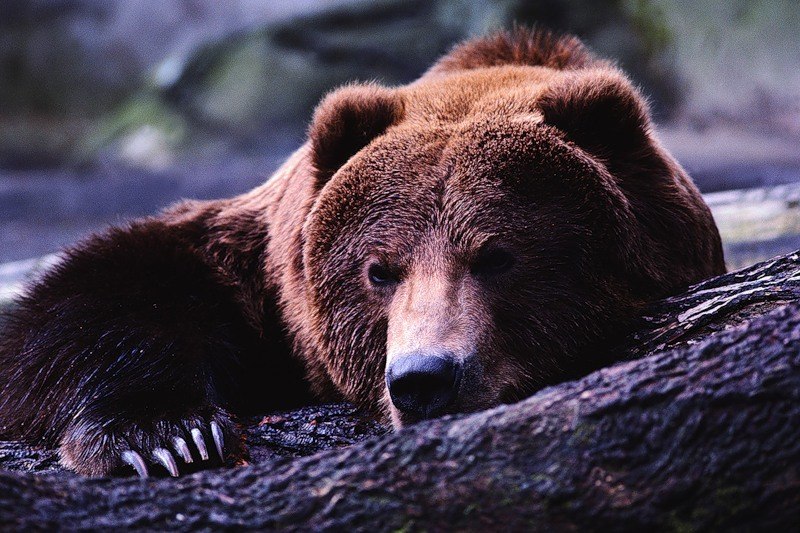 Евгений Мишкин | Мурманск