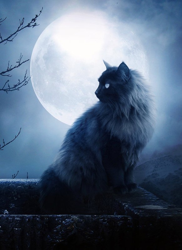 Юрий Жевиляк | Донецк