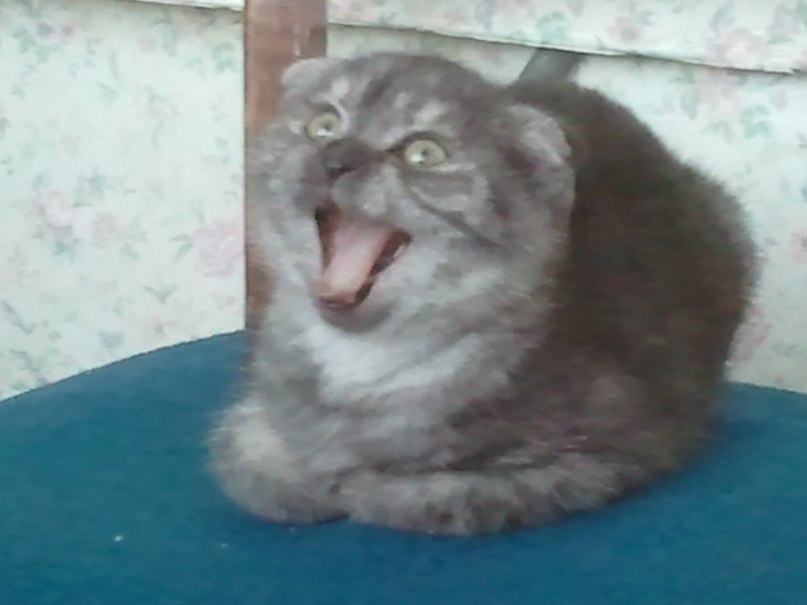 Елена Рогалева | Санкт-Петербург