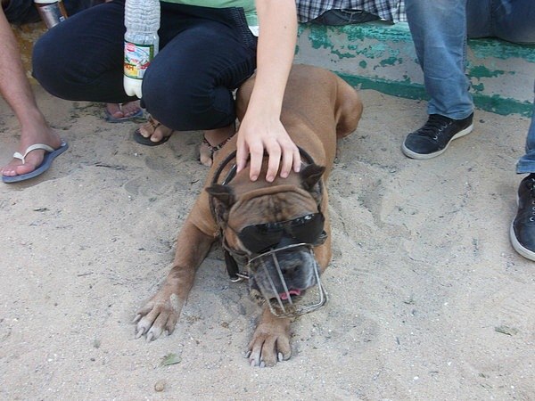 Олжас Байбусинов | Астана / Нур-Султан