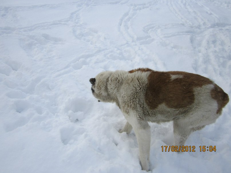Лёня Бондаренко | Доманевка