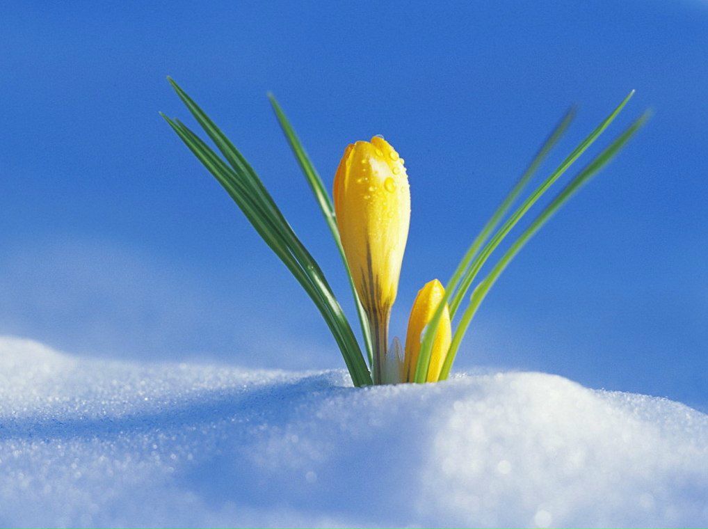 Татьяна Павелина | Владимир