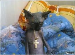 Сергей Коровин | Красноярск