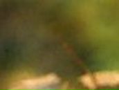 Алексей Афанасьев | Ревда