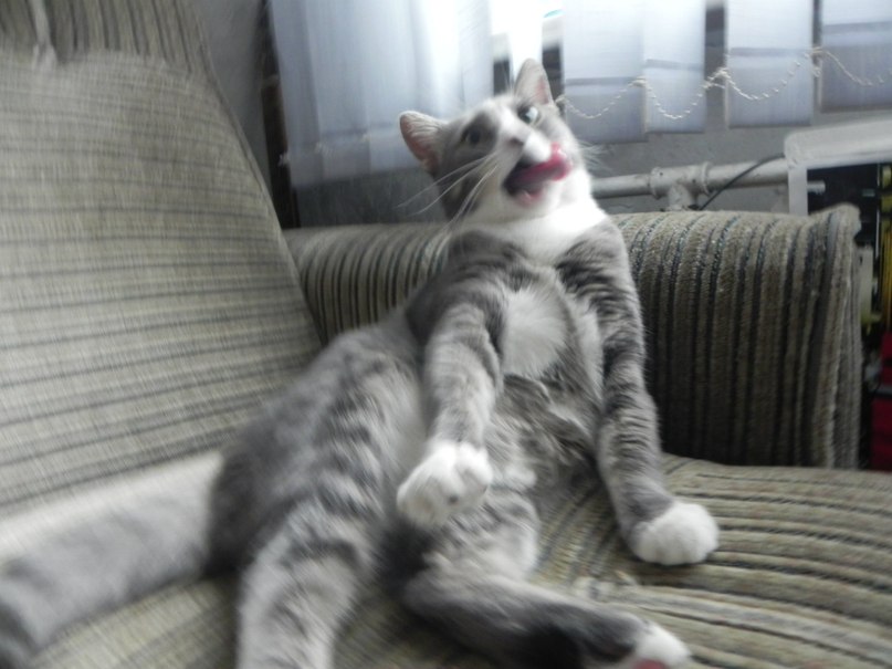 Максим Мусапиров | Санкт-Петербург