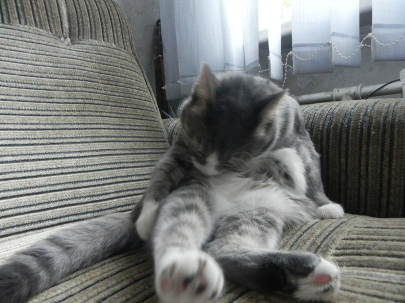 Максим Мусапиров | Санкт-Петербург