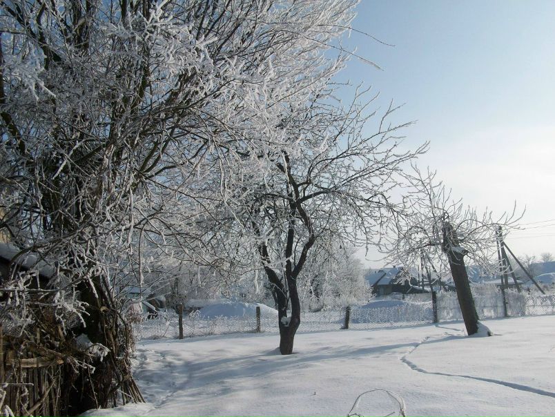 №29, Лариса Януль, Дерно №29, Лариса Януль, Дерно