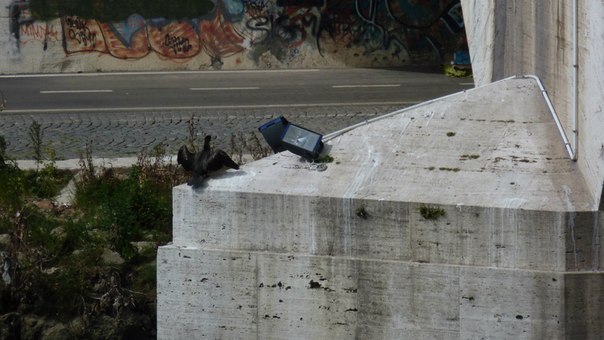 №51, Кирилл Баранов, Москва №51, Кирилл Баранов, Москва