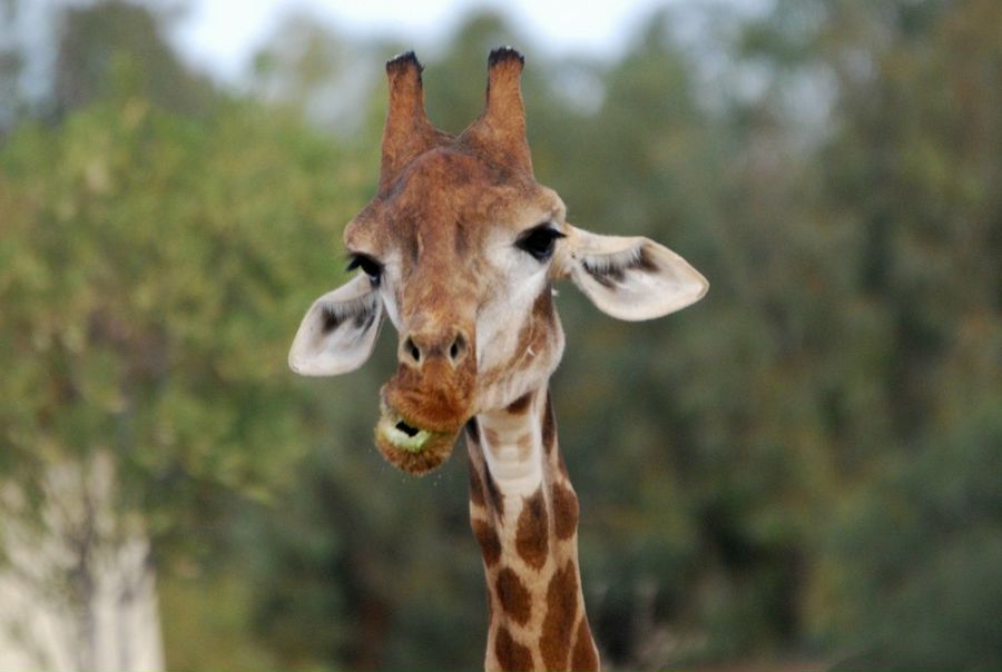 №19, Павел Криворучко, 35 лет, Екатеринбург №19, Павел Криворучко, 35 лет, Екатеринбург