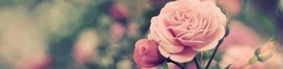 Надзежда Boykaya ♥ ЛЁвА с МоГиЛЁвА! =Ь ♥ | Минск