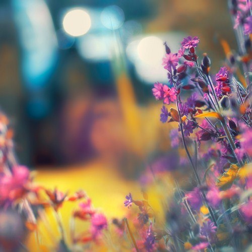 Наталья Додонова :))))) | Иркутск