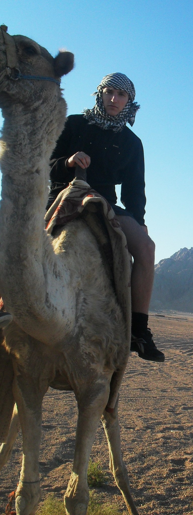 Дмитрий Славкин | Омск