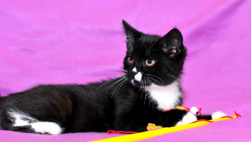 Оля Гривняшкина | Дедовск