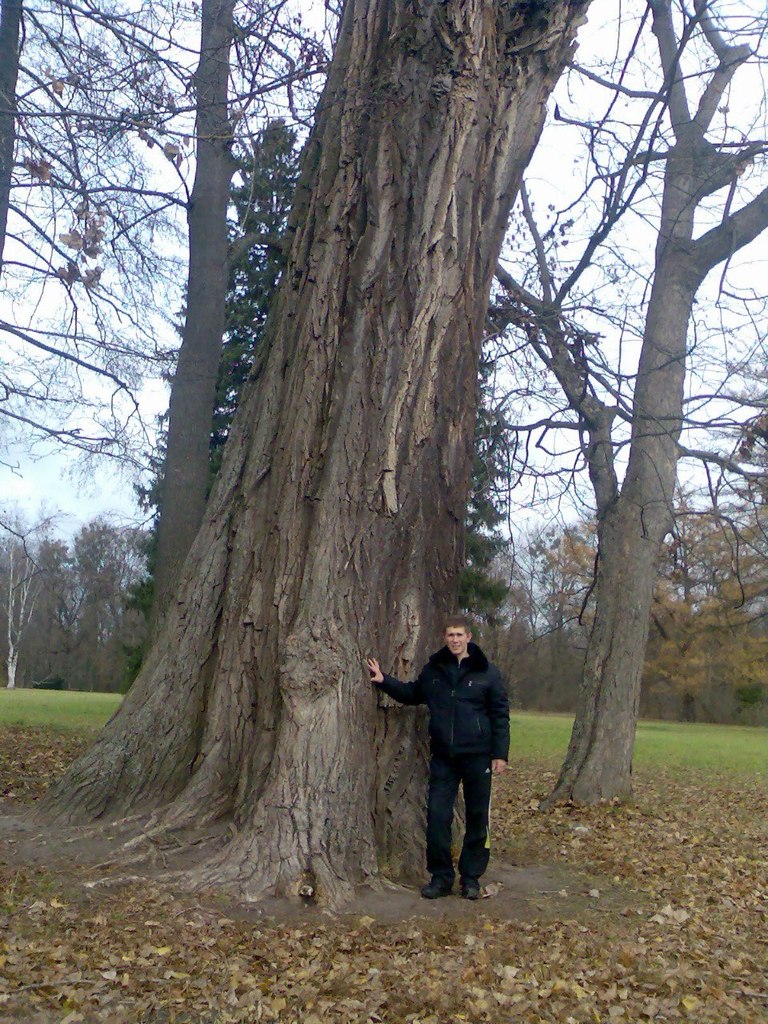 Виталий Паршин | Черкассы