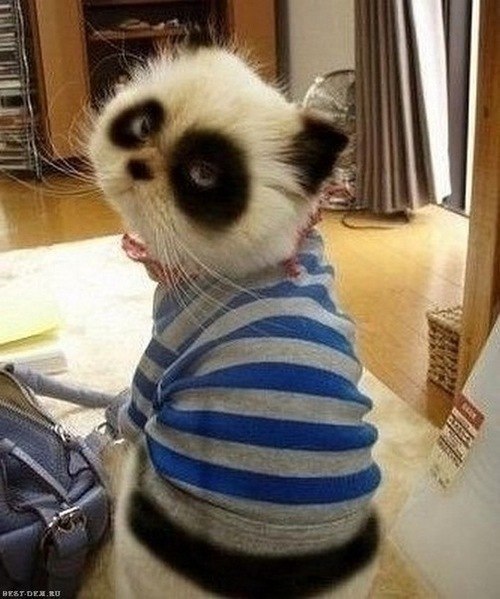 Сергей Колотин | Саяногорск