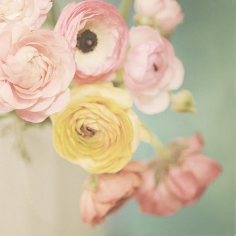 Mary Kate ★★ | Санкт-Петербург