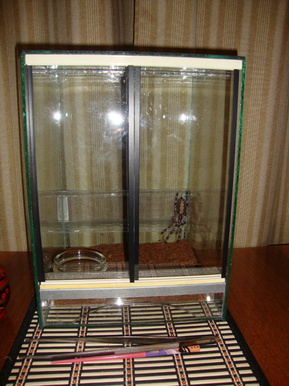 Аркадий Репкин | Пятигорск