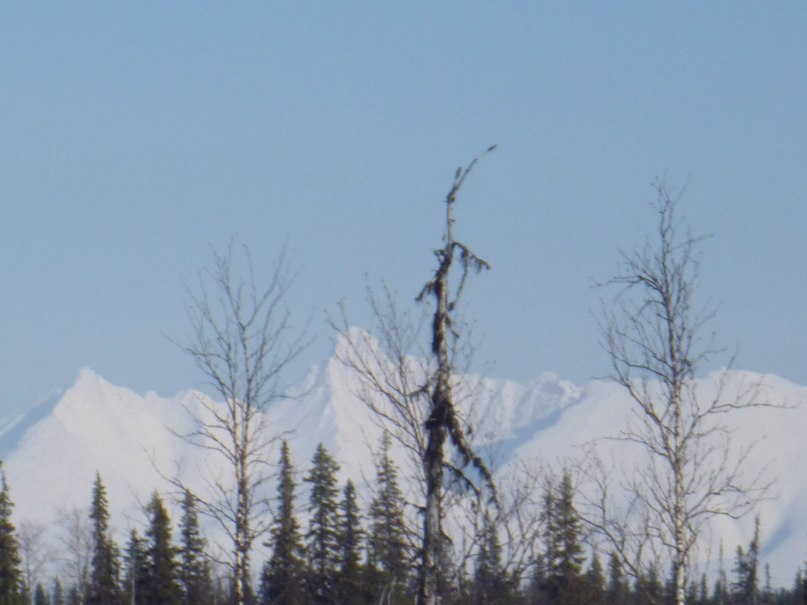 Евгений Кузнецов | 