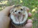 №35 Мария Панина