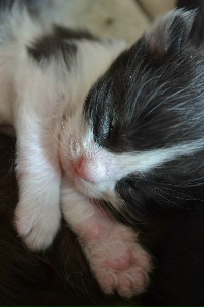 №150, Яна Токан, Одесса №150, Яна Токан, Одесса