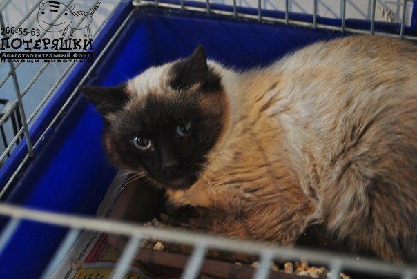 Ксения Авдонина | Уфа