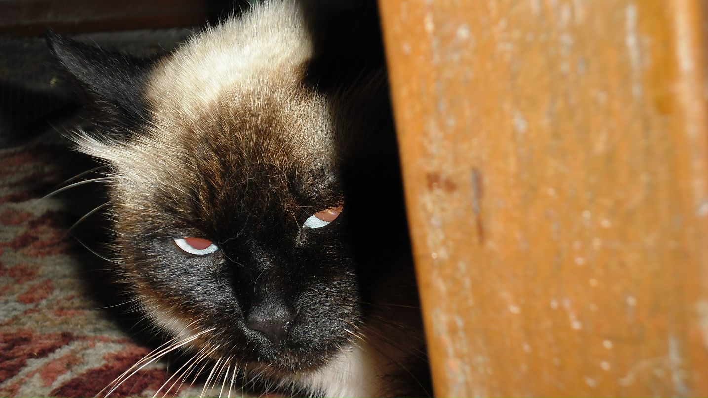 Oleg Polishyk @ | Ахтубинск