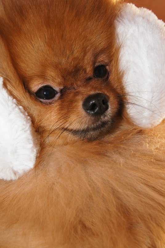 Татьяна Альшина | Саранск