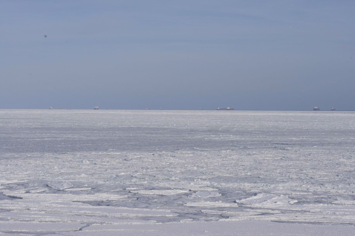 Евгений Небога | Одесса