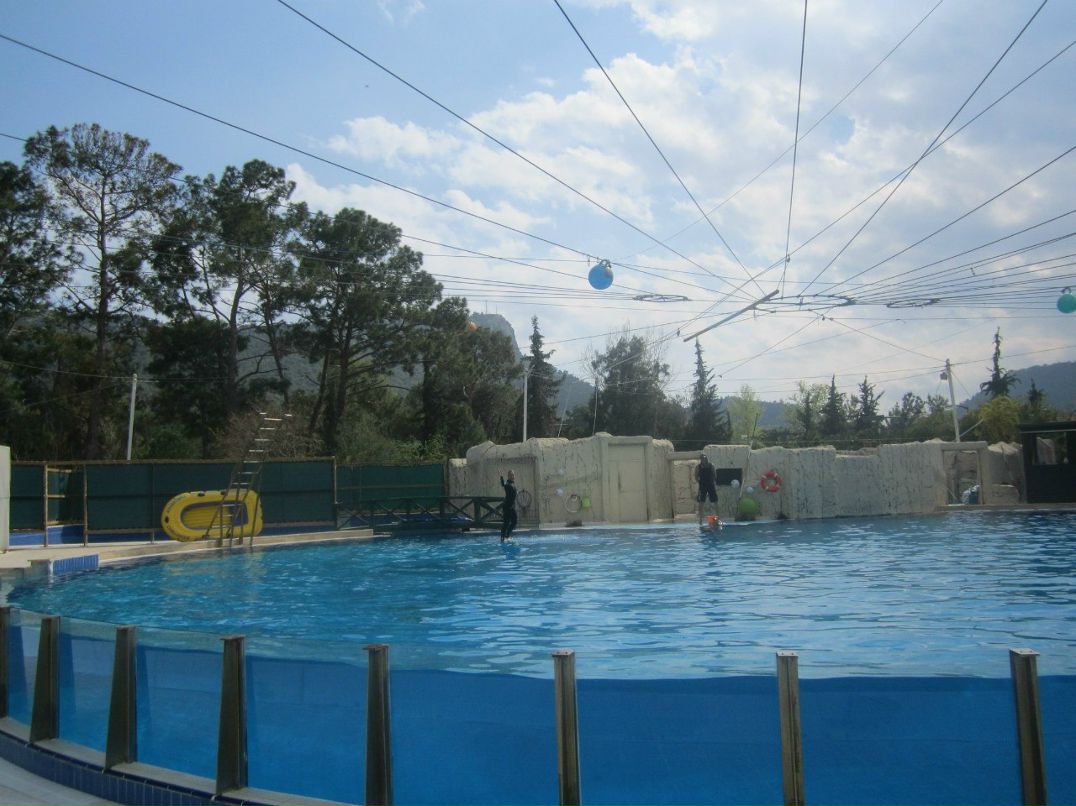 Александр Комаров | Иваново