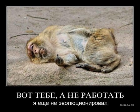 Зоя Воденникова | Урай