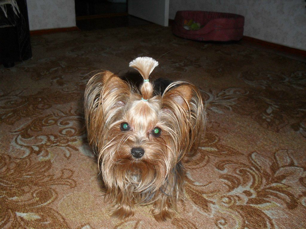 Ольга Щербакова | Одесса