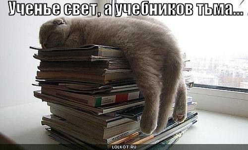 Леша Алехин | Пушкино