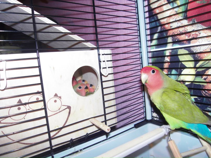 Ольга Бакаринова | Москва