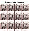 №17 Sayat Talgatuly : профиль, фото, статус - ВКонтакте
