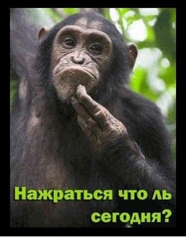 Любовь Макаренко | Санкт-Петербург