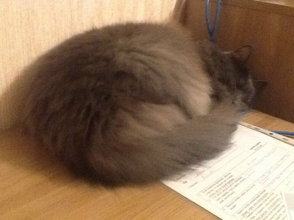 Иван Ахметов Абрамович | Москва