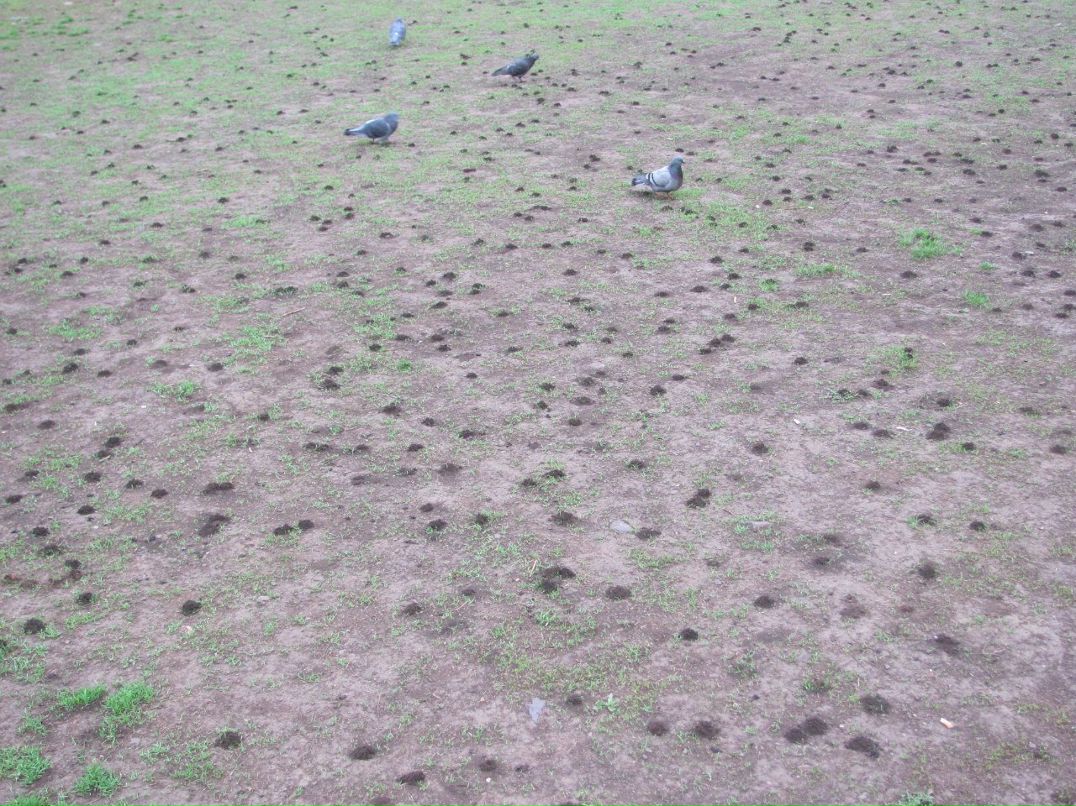 Светлана Заярнюк | Кривой Рог