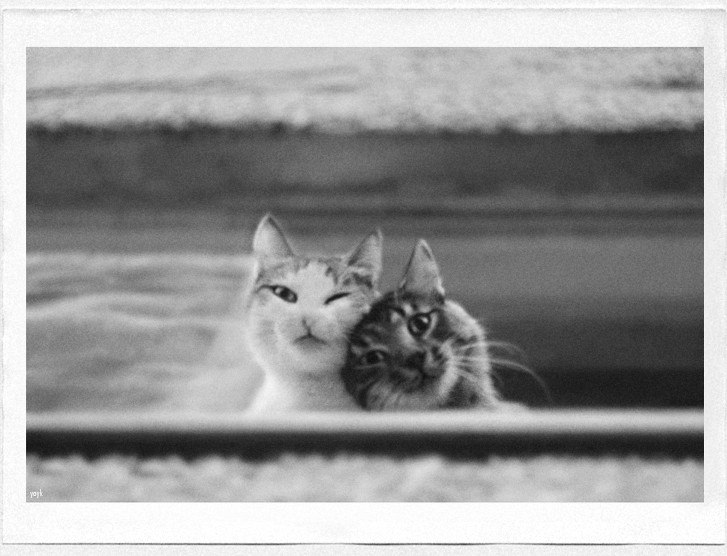 Анка Триполюбова | Москва