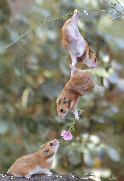 Наталья Шешукова Александровна | Дальнегорск