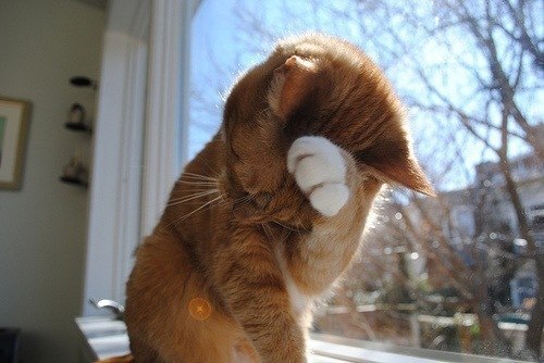 Вика Фаустова | Харьков