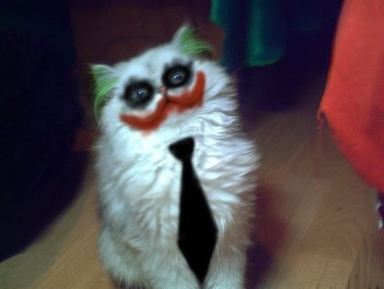 Кирилл Дуботолкин | Пенза